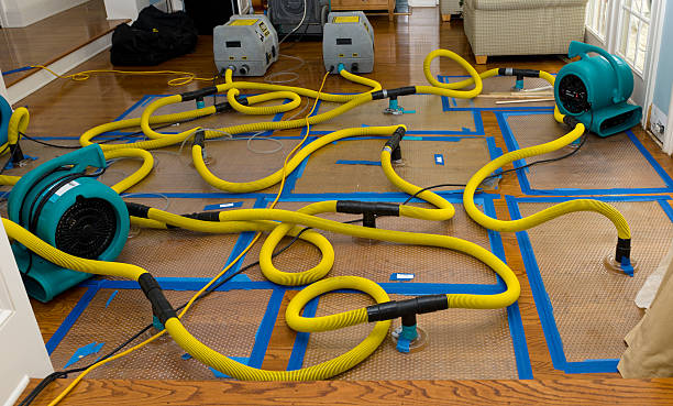 Professional Basement Flood Cleanup technician working in Etlan, VA